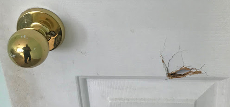 interior door hole repair Kentfield